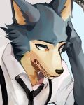  2019 anthro beastars black_nose canid canine canis ch0kico cheek_tuft clothing facial_tuft fur grey_body grey_fur legoshi_(beastars) mammal necktie shirt solo teeth topwear tuft wolf 