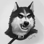  2019 ambiguous_gender anthro black_and_white black_body black_fur canid canine canis chin_tuft collar domestic_dog facial_tuft fur headshot husky inner_ear_fluff mammal monochrome multicolored_body multicolored_fur nordic_sled_dog sepulte siberian_husky signature snarling solo spitz teeth tuft two_tone_body two_tone_fur white_body white_fur 