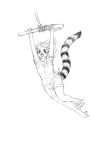  5_toes bakaneko barefoot bottomwear clothed clothing female greyscale hair human lemur mammal monochrome primate ringtail shirt shorts smile solo strepsirrhine swinging tank_top toes topwear transformation 