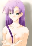  breast_squeeze breasts cleavage crossed_arms faris_scherwiz final_fantasy final_fantasy_v green_eyes harapeko large_breasts nipples purple_hair solo topless 