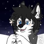  1:1 2019 animated anthro blush canid canine canis digital_media_(artwork) domestic_dog husky low_res male mammal nordic_sled_dog rhovare sleek snow solo sparkler spitz 