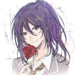  1girl bang_dream! blazer chromatic_aberration collared_shirt flower grey_jacket hair_between_eyes haneoka_school_uniform holding holding_flower jacket long_hair looking_at_viewer necktie ponytail portrait purple_eyes purple_hair red_flower red_rose rose sakaki_kayumu school_uniform seta_kaoru shirt sidelocks sketch smile solo sparkle translation_request white_background 