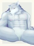  2019 abs anthro biped canid canine canis clothing erection facial_hair fur grey_body grey_fur inuller law_(sdorica_sunset) male mammal muscular muscular_male nipples pecs penis sdorica sdorica_sunset solo underwear wolf 