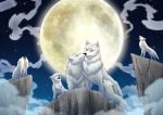  canid canine canis cliff cub digital_media_(artwork) e1ectronicchimera invalid_color invalid_tag mammal moon night postcard wolf young 