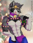  2020 anthro belly bulge clothing digital_media_(artwork) fur kandox_tekzer looking_at_viewer male mammal pose procyonid raccoon shanukk solo underwear 