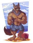  2017 4_toes 5_fingers abs alcohol anthro beach beer beverage biceps big_muscles black_claws black_nipples black_nose brown_body brown_fur bulge canid canine canis claws clothed clothing digitigrade domestic_dog eyewear facial_piercing fingers fur german_shepherd ginkko grin herding_dog looking_at_viewer madcow100 male mammal muscular muscular_male neckerchief nipples nose_piercing nose_ring pastoral_dog pecs piercing pubes sea seaside smile solo standing sunglasses swimwear toes topless von_(madcow100) water yellow_eyes 