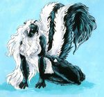  &lt;3 2019 anthro black_body black_fur blue_background blue_eyes breasts claws featureless_crotch female fur hair heart_marking heather_bruton mammal mephitid simple_background skunk solo striped_skunk white_body white_fur white_hair 
