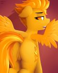  anon_1515 anus butt equid equine female feral friendship_is_magic hi_res looking_back mammal my_little_pony pterippus pussy solo spitfire_(mlp) wings wonderbolts_(mlp) 