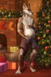  2019 4_toes 5_fingers akineza anthro canid canine canis christmas coyote digital_media_(artwork) fingers holidays male_pregnancy mammal pregnant smile solo standing toes 