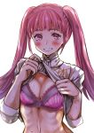  1girl absurdres blush bra breasts cleavage eyebrows_visible_through_hair fire_emblem fire_emblem:_three_houses garreg_mach_monastery_uniform grin highres hilda_valentine_goneril lace lace-trimmed_bra lips long_hair looking_at_viewer medium_breasts midriff navel oroshipon_zu pink_bra pink_eyes pink_hair ribs shirt_lift short_sleeves simple_background smile solo sweat teeth twintails underwear upper_body white_background 