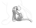  2016 animal_genitalia balls big_dom_small_sub cub duo eyes_closed faceless_male felid fellatio feral feral_on_feral fully_sheathed hi_res leopard lion male male/male mammal meowz monochrome oral pantherine penile penis sex sheath simple_background size_difference sketch solo_focus the_giant_hamster white_background young 