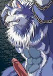  darkstalkers gallon jon_talbain tagme 