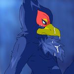  falco_lombardi nintendo star_fox tagme 