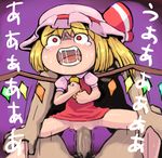  flandre_scarlet tagme touhou yukkuri 