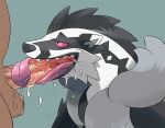  ambiguous_gender balls bestiality duo fellatio feral human human_on_feral interspecies long_tongue male male/ambiguous male_on_feral mammal nintendo obstagoon oral penile penis pok&eacute;mon pok&eacute;mon_(species) rossciaco sex tongue tongue_out tonguejob video_games 