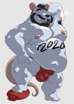  2020 anthro asian_clothing belly bluewhale127 bulge chinese_new_year clothing east_asian_clothing fundoshi fur holidays japanese_clothing male mammal moobs murid murine navel new_year nipples overweight overweight_male rat rodent simple_background smoking solo text underwear white_background white_body white_fur year_of_the_rat 