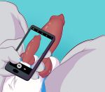  2017 4_fingers absurd_res animal_genitalia animal_penis anthro balls big_penis biped blue_background canid canine canine_penis canis cellphone claws digital_media_(artwork) erection fingers fur hi_res holding_cellphone holding_object holding_phone knot male mammal nude penis penis_shot phone silverzar simple_background sitting solo were werecanid werecanine werewolf white_body white_fur wolf 