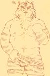  2017 anthro belly bulge clothing felid humanoid_hands kondo_musashi male mammal moobs musabo3neo navel nipples pantherine slightly_chubby solo tiger underwear 