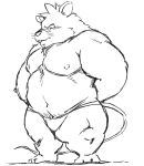  2020 anthro belly clothing dekatanu male mammal moobs murid murine navel nipples overweight overweight_male rat rodent simple_background solo underwear white_background 