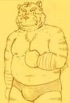  2017 anthro belly bulge felid kondo_musashi male mammal moobs musabo3neo nipples overweight overweight_male pantherine solo tiger 