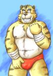  2017 anthro belly blush bulge clothing felid humanoid_hands kondo_musashi male mammal moobs musabo3neo navel nipples one_eye_closed overweight overweight_male pantherine solo tiger underwear wink 