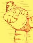  2017 anthro belly bulge clothing felid humanoid_hands kondo_musashi male mammal musabo3neo navel overweight overweight_male pantherine solo tiger underwear 