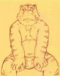  2017 anthro bulge clothing felid humanoid_hands kondo_musashi male mammal musabo3neo pantherine simple_background sitting slightly_chubby solo tiger underwear 