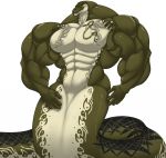  big_muscles huge_muscles hyper hyper_muscles male muscular naga reptile sachiel_666 scalie serpentine simple_background snake tattoo vein white_background 