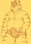  2017 anthro belly bulge clothing erection erection_under_clothing felid humanoid_hands kondo_musashi male mammal moobs musabo3neo navel nipples overweight overweight_male pantherine solo tiger underwear 