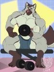  2019 4_toes 5_fingers anthro biceps big_muscles black_claws bottomwear brown_body brown_eyes brown_fur build-a-wuff bulge canid canine canis claws clothed clothing domestic_dog dumbbell exercise fingers fur grey_body grey_fur gym male mammal multicolored_body multicolored_fur muscular muscular_male nipples pawpads pecs pink_nipples pink_nose quads shorts sitting solo toes topless veiny_muscles weightlifting weights white_body white_fur workout 