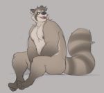  2020 anthro male mammal minedoo moobs nipples procyonid raccoon simple_background sitting slightly_chubby solo 