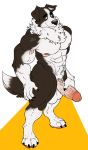  2017 4_toes 5_fingers abs anthro balls biceps big_balls big_muscles big_penis black_body black_claws black_fur black_nose border_collie build-a-wuff canid canine canis claws collie domestic_dog erection eyebrows fingers fur herding_dog high-angle_view huge_penis humanoid_penis looking_at_viewer male mammal multicolored_body multicolored_fur muscular muscular_male nipples nude pastoral_dog pawpads pecs penis pink_nipples pink_penis quads sheepdog simple_background smile solo standing thick_eyebrows toes two_tone_body two_tone_fur vein veiny_muscles veiny_penis white_body white_fur yellow_eyes 