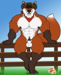  2018 4_toes abs animal_genitalia anthro balls biceps big_muscles black_hair black_nipples black_nose build-a-wuff canid canine claws clothing cowboy cowboy_hat eyebrows fox fur green_eyes grin hair hat hat_only headgear headwear huge_muscles looking_at_viewer male mammal mostly_nude multicolored_body multicolored_fur muscular muscular_male neckerchief nipples pecs quads red_body red_fur sheath sitting smile solo thick_eyebrows toes triceps two_tone_body two_tone_fur white_body white_fur 