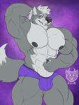  2019 abs anthro biceps big_muscles black_nipples black_nose build-a-wuff bulge canid canine canis clothed clothing fur grey_body grey_fur hand_behind_head huge_muscles looking_at_viewer male mammal muscular muscular_male nintendo nipples pecs quads solo standing star_fox topless triceps underwear underwear_only veiny_muscles video_games wolf wolf_o&#039;donnell yellow_eyes 