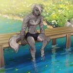  anthro blurred_background bridge canid canine clothing dipstick_tail flower fur grass green_eyes grey_body grey_fur grey_hair hair male mammal multicolored_tail outside plant sitting smile solo underwear water 