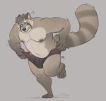  2020 anthro belly bulge clothing humanoid_hands male mammal minedoo moobs navel nipples overweight overweight_male procyonid raccoon simple_background solo underwear 