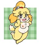  animal_crossing anthro blush breasts butt canid canine canis domestic_dog female fur hair isabelle_(animal_crossing) looking_at_viewer mammal nintendo nipples nude open_mouth pussy runeechan shih_tzu short_stack smile solo star_eyes teeth thick_thighs tongue toy_dog video_games yellow_body yellow_fur 