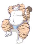  anthro belly bulge claws clothed clothing felid fur grin hands_behind_head lying male mammal mighty_creation moobs navel obese obese_male on_back orange_body orange_fur overweight overweight_male pantherine simple_background smile solo striped_body striped_fur stripes teeth tiger toe_claws topless underwear white_background white_body white_fur 
