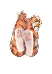 2020 3_toes anthro arknights black_body black_fur black_hair black_nails black_nose butt clothed clothing colored_nails eyewear felid female foot_focus fur glasses hair looking_at_viewer mammal multicolored_body multicolored_fur multicolored_hair nails orange_body orange_fur orange_hair pantherine pawpads short_hair simple_background solo striped_body striped_fur stripes tiger toes underwear video_games waaifu white_background white_body white_fur white_hair 晴天 