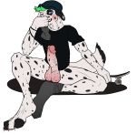  anthro balls beanie blush canid canine canis clothed clothing dalmatian domestic_dog erection fur green_hair hair hat headgear headwear humanoid_penis legwear looking_at_viewer male mammal musk penis simple_background skateboard skater smile socks solo spots topwear white_body white_fur xdarkspace 