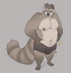  2020 anthro belly bulge clothing humanoid_hands male mammal minedoo moobs navel nipples overweight overweight_male procyonid raccoon simple_background solo underwear 