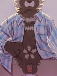  2020 anthro asnnonaka balls big_balls brown_body brown_fur canid canine clothed clothing flaccid fur humanoid_hands humanoid_penis male mammal open_shirt penis raccoon_dog shirt simple_background solo tanuki topwear 