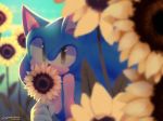  2018 anthro blue_body blue_fur clothing depth_of_field eulipotyphlan flower fur gloves green_eyes handwear hedgehog hi_res holding_flower holding_object male mammal outside plant solo sonic_the_hedgehog sonic_the_hedgehog_(series) spacecolonie sunflower 