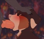  2d_animation absurd_res ambiguous_gender animal_genitalia animal_penis animated bernese_mountain_dog blush bodily_fluids canid canine canine_penis canis domestic_dog drooling fellatio floppy_ears frame_by_frame hi_res knot male male/ambiguous mammal molosser mountain_dog oral paws penile penis reysi saliva sex shy submissive swiss_mountain_dog tongue wolf 
