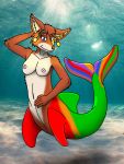  canid canine cetacean delphinoid fae female fox mammal marine rainbow toothed_whale underwater water 
