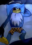  absurd_res albatross avian bird bottomwear boxers_(clothing) clothing golubaya hi_res kitsune2000 luna_(disambiguation) male procellariiform shorts sleeping sonic_riders sonic_the_hedgehog_(series) storm_the_albatross underwear wave_the_swallow 