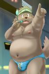  2020 absurd_res anthro belly brown_body brown_fur bulge canid canine clothing fur hat headgear headwear hi_res humanoid_hands kemono kiyo male mammal moobs navel nipples overweight overweight_male solo underwear 