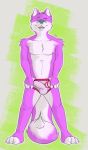  ambiguous_species balls bed_face blue_eyes boblios briefs bulge clothing fur looking_at_viewer male multicolored_body multicolored_fur penis pink_body pink_fur presenting simple_background smile standing suggestive teeth tuft two_tone_body two_tone_fur underwear 