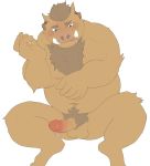  2016 anthro balls belly brown_body brown_fur fur hi_res humanoid_hands humanoid_penis maguro male mammal moobs navel nipples overweight overweight_male penis simple_background solo suid suina sus_(pig) white_background wild_boar 