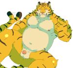  2012 anthro balls belly butt felid flaccid humanoid_hands humanoid_penis kemono maguro male mammal moobs navel nipples overweight overweight_male pantherine penis pink_nose simple_background solo tiger white_background 